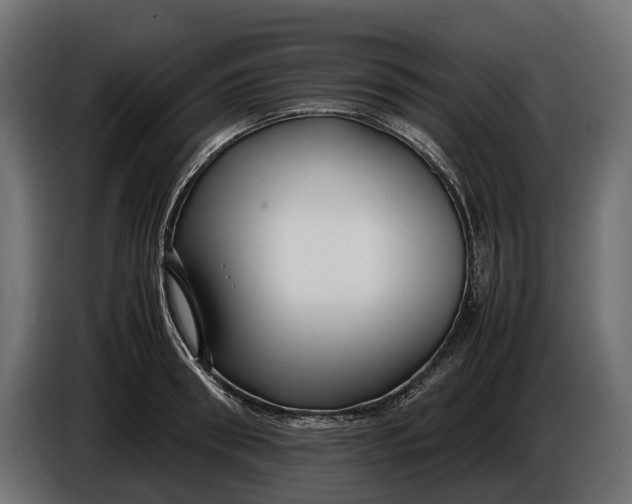 X0000086080898200704132100