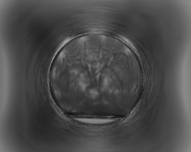 X0000086080899200704132100