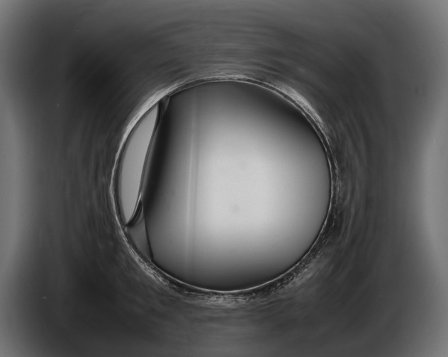 X0000086080901200704132100