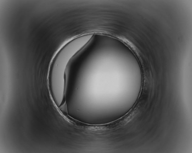 X0000086080902200704132100