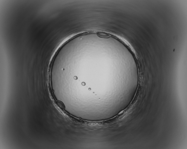 X0000086080903200704132100