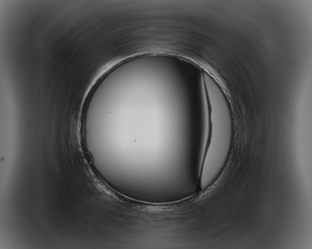 X0000086080904200704132100