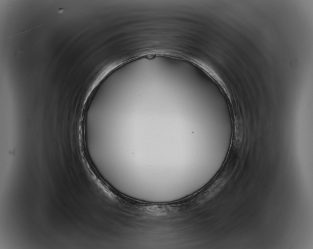 X0000086080906200704132100