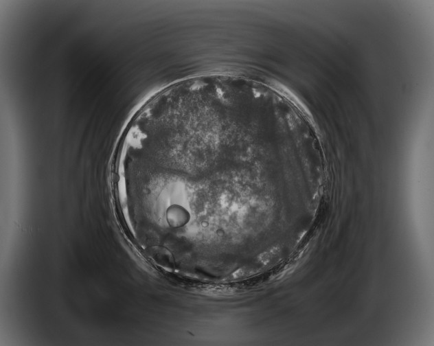 X0000086080907200704132100