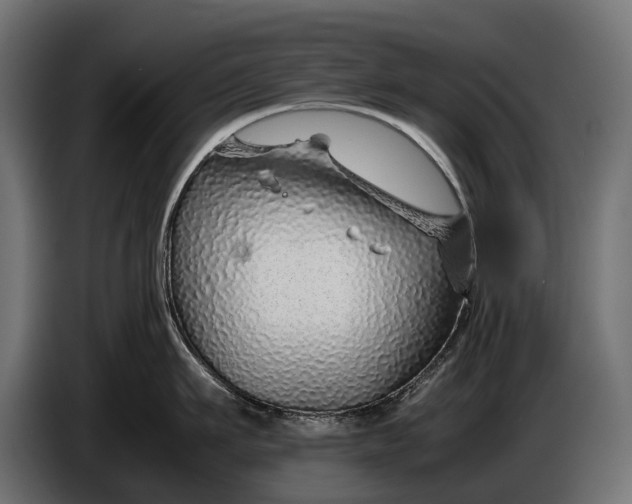 X0000086080911200704132100