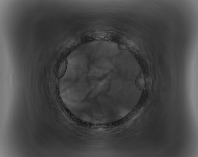 X0000086080913200704132059