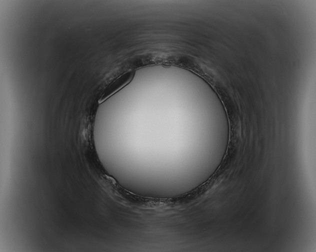 X0000086080914200704132059