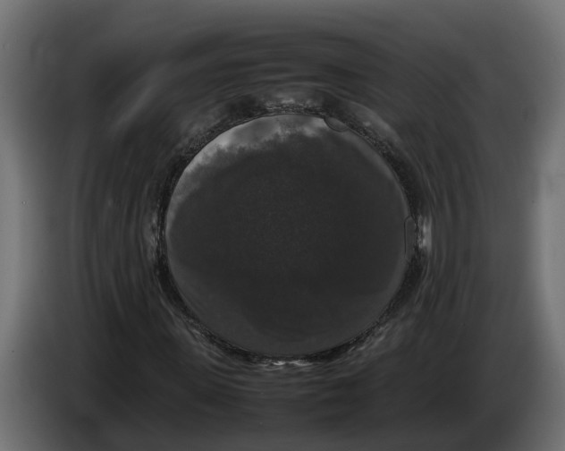 X0000086080915200704132059