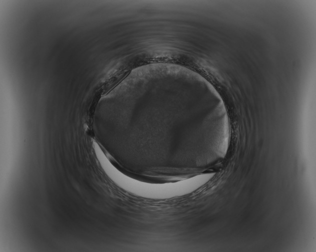 X0000086080916200704132059