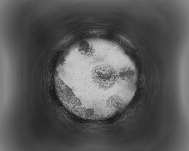 X0000086080917200704132059