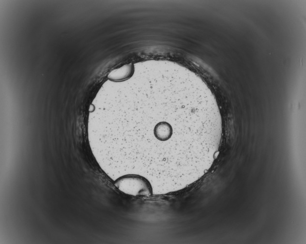 X0000086080918200704132059