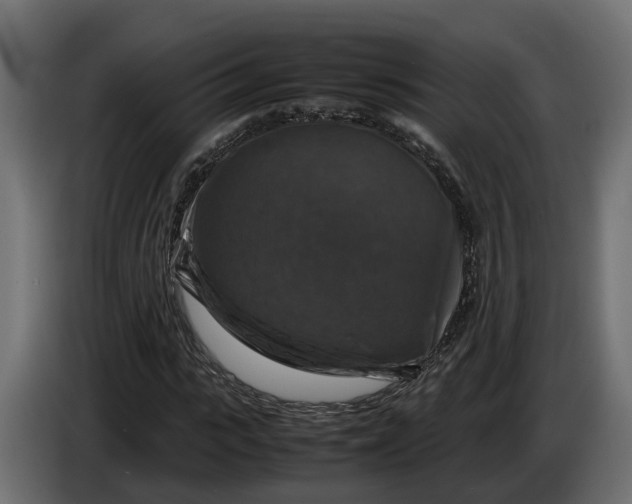 X0000086080919200704132059