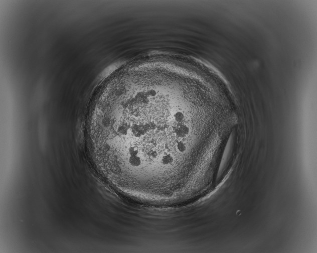 X0000086080921200704132059