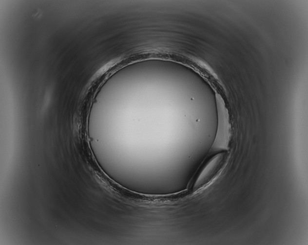 X0000086080922200704132059