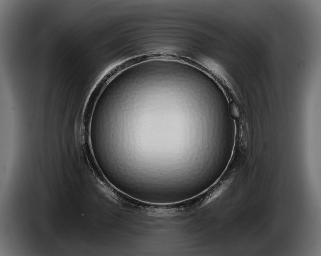 X0000086080924200704132059