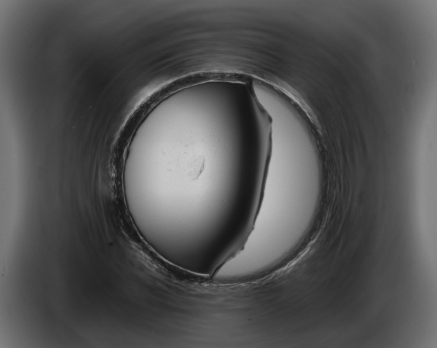 X0000086080926200704132059