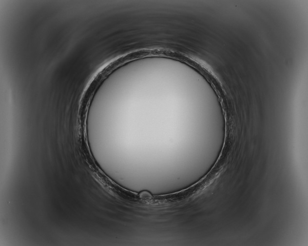 X0000086080927200704132059