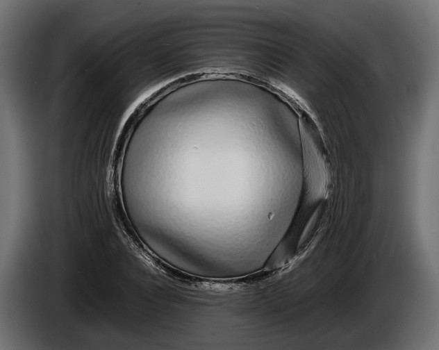 X0000086080928200704132059