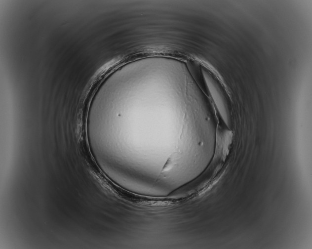 X0000086080930200704132059