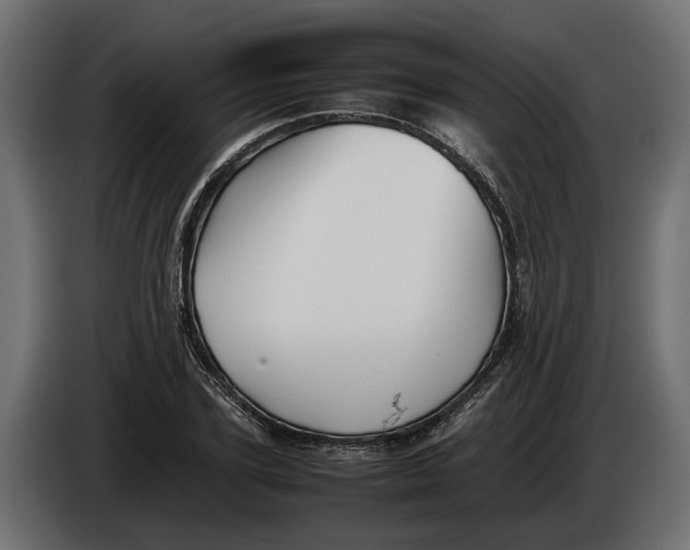 X0000086080931200704132059