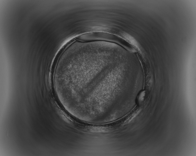 X0000086080932200704132059