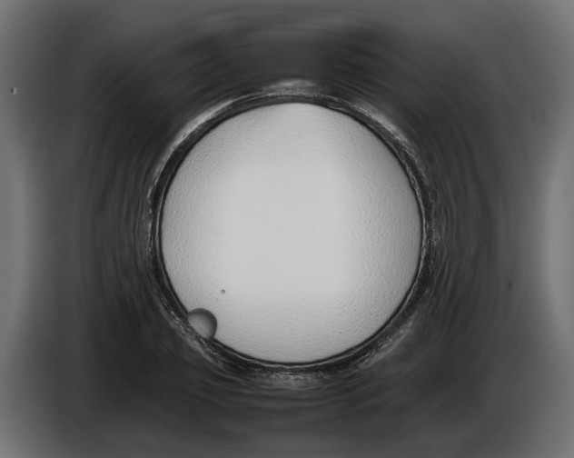 X0000086080933200704132059