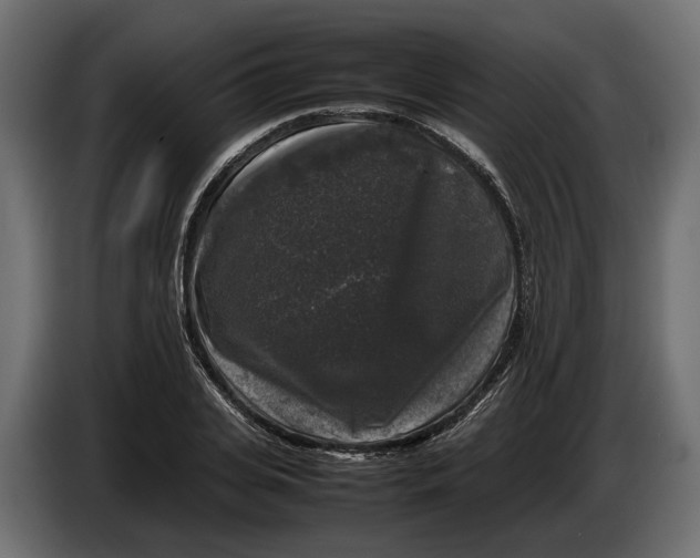 X0000086080935200704132059