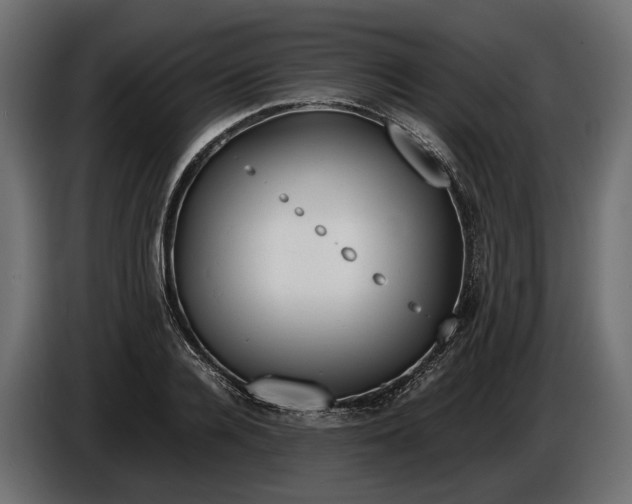 X0000086080936200704132059