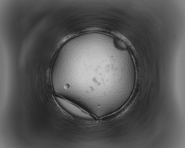 X0000086080937200704132059