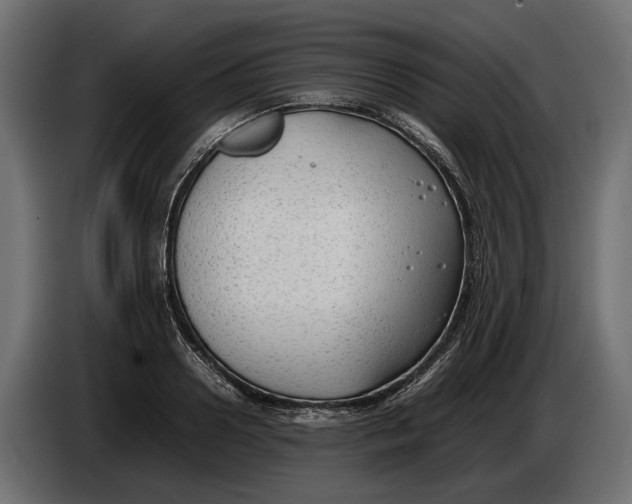 X0000086080938200704132059