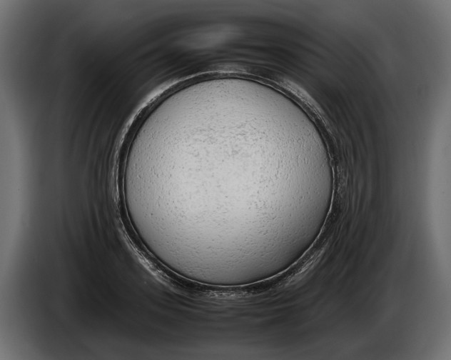 X0000086080939200704132059