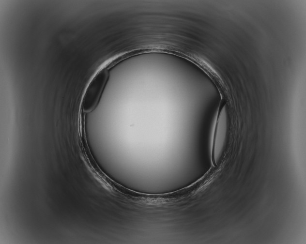 X0000086080940200704132059