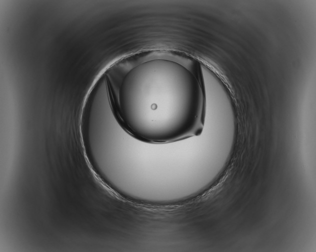 X0000086080942200704132100