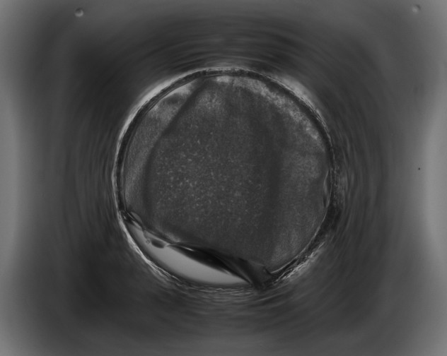 X0000086080943200704132100