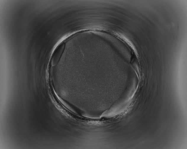 X0000086080944200704132100