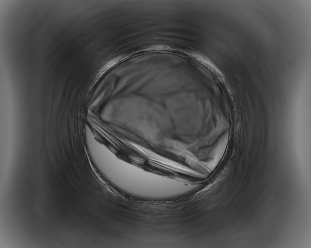 X0000086080945200704132100