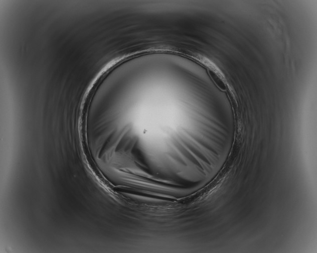 X0000086080947200704132100