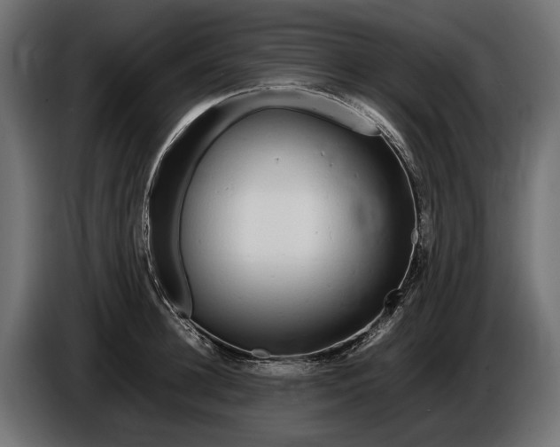 X0000086080948200704132100