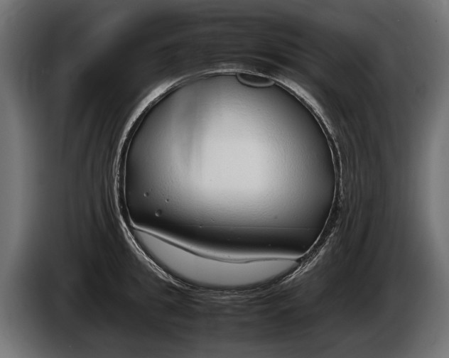 X0000086080949200704132100