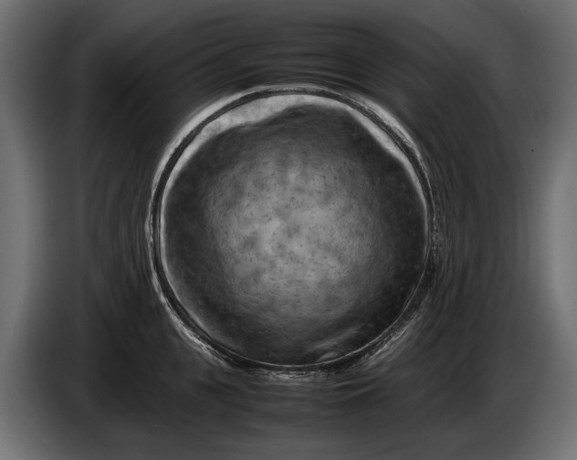 X0000086080951200704132100