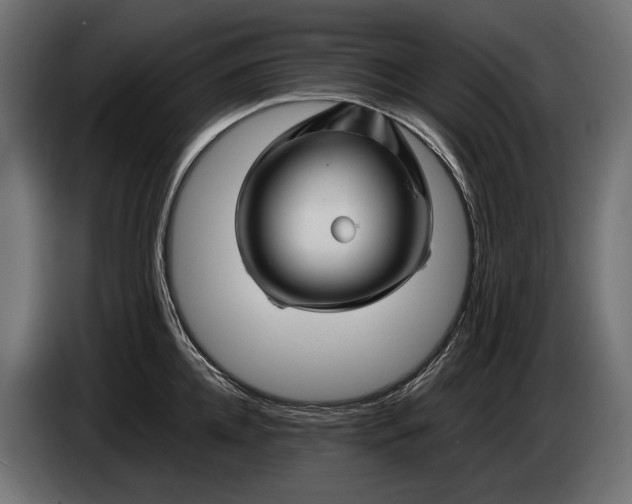 X0000086080952200704132100