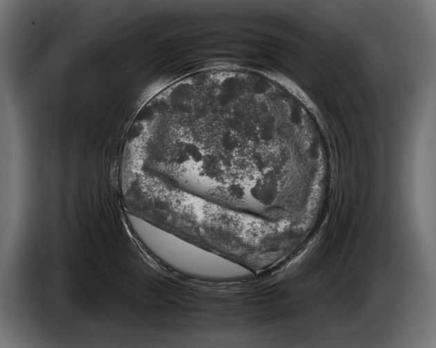 X0000086080953200704132100