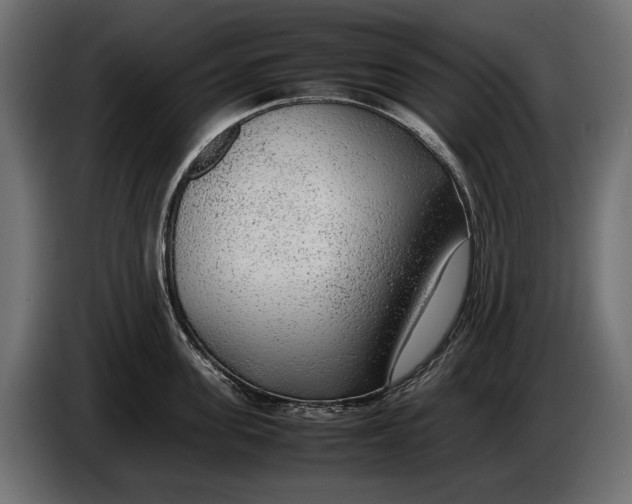 X0000086080955200704132100