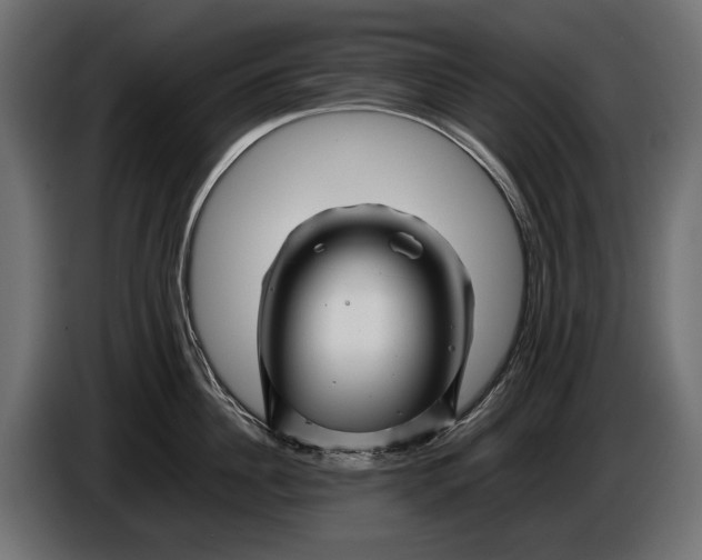 X0000086080956200704132100