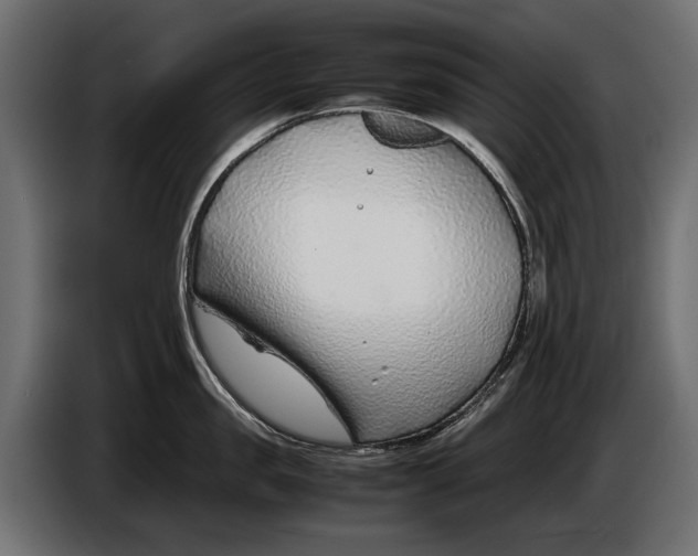 X0000086080957200704132100