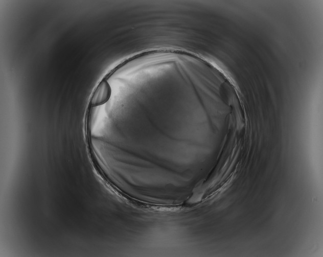 X0000086080958200704132100