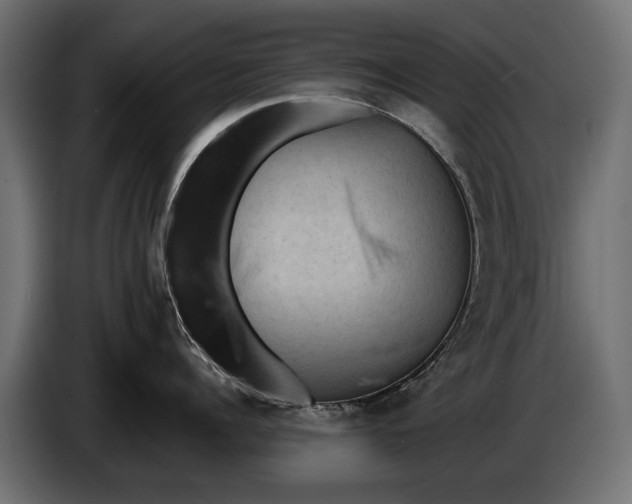 X0000086080960200704132100