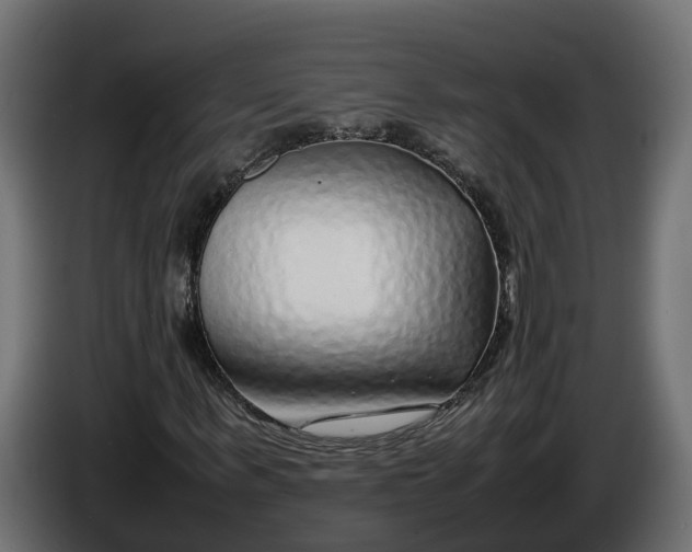 X0000086080963200704132059