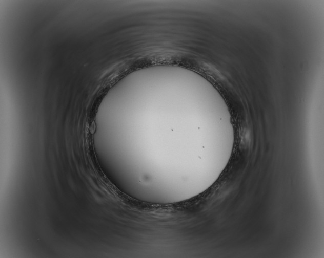 X0000086080964200704132059