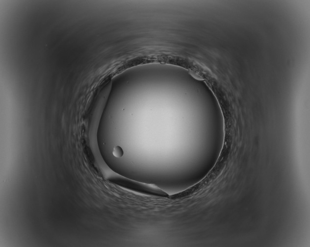 X0000086080965200704132059